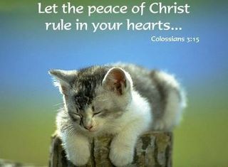 Let the peace of Christ rule in your hearts.